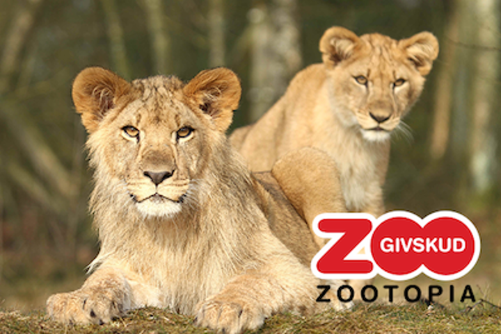 Softwareudvikling til Givskud Zoo