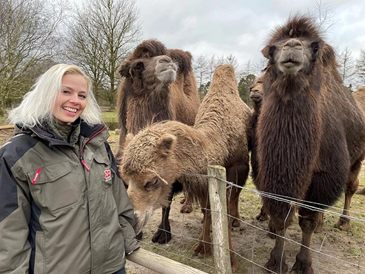 Sophie med kameler