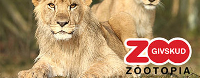 Givskud ZOO app lavet af CodeOptimus