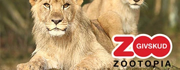 Appudvikling for Givskud ZOO